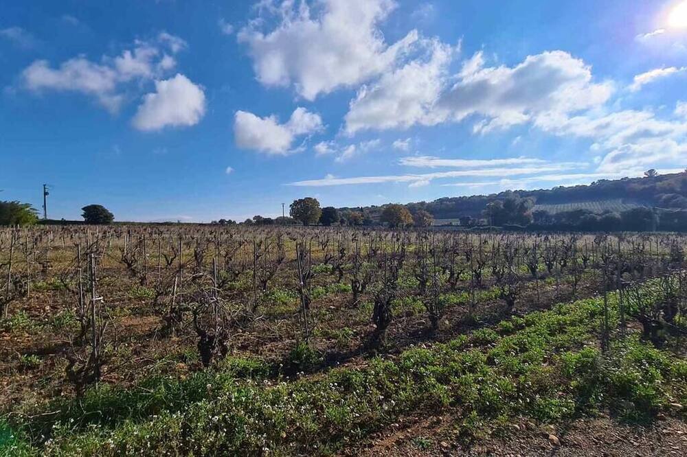 Photo of Outdoor in Chateauneuf-du-Pape