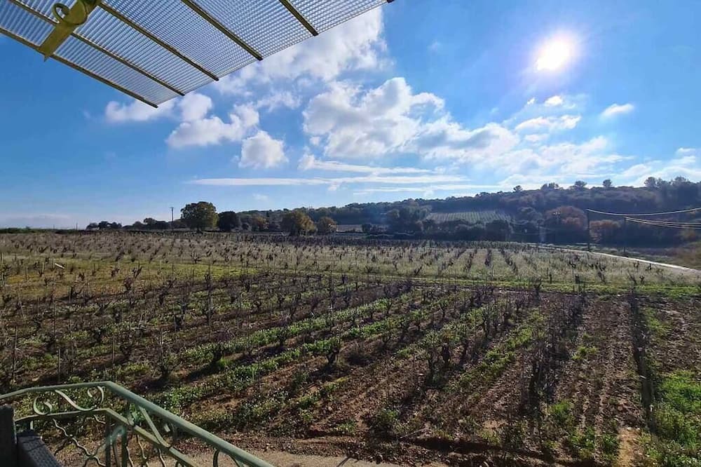 Photo of Outdoor in Chateauneuf-du-Pape