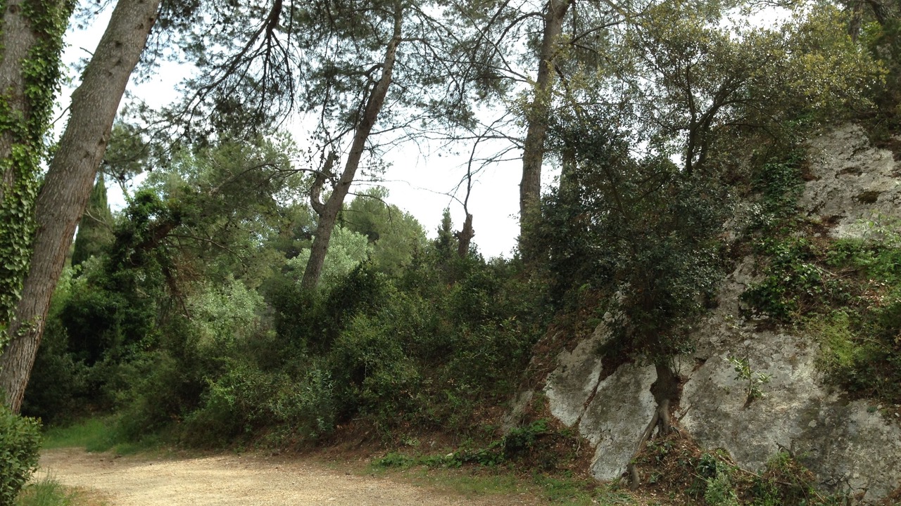 Photo of Others in Saint-Etienne-du-Gres