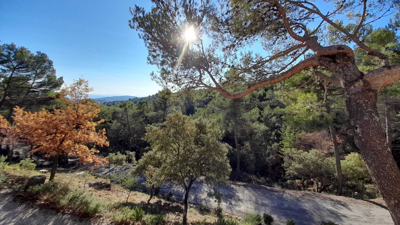 Photo of Outdoor in Pierrevert