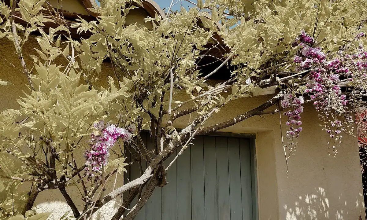Photo of Outdoor in Boulbon