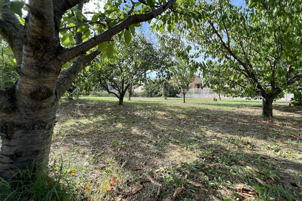 Photo of Outdoor in Sablet