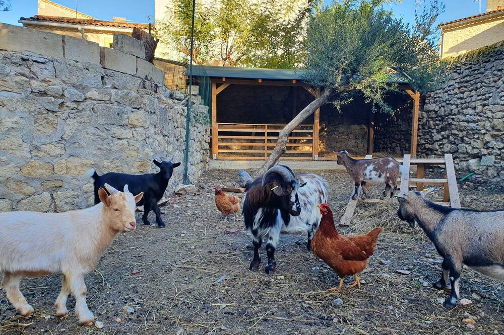 Photo of Outdoor in Montfrin