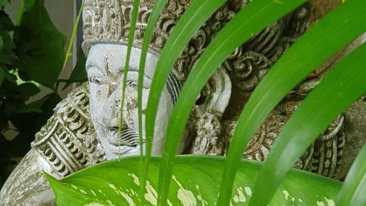 Photo of Outdoor in Kubutambahan