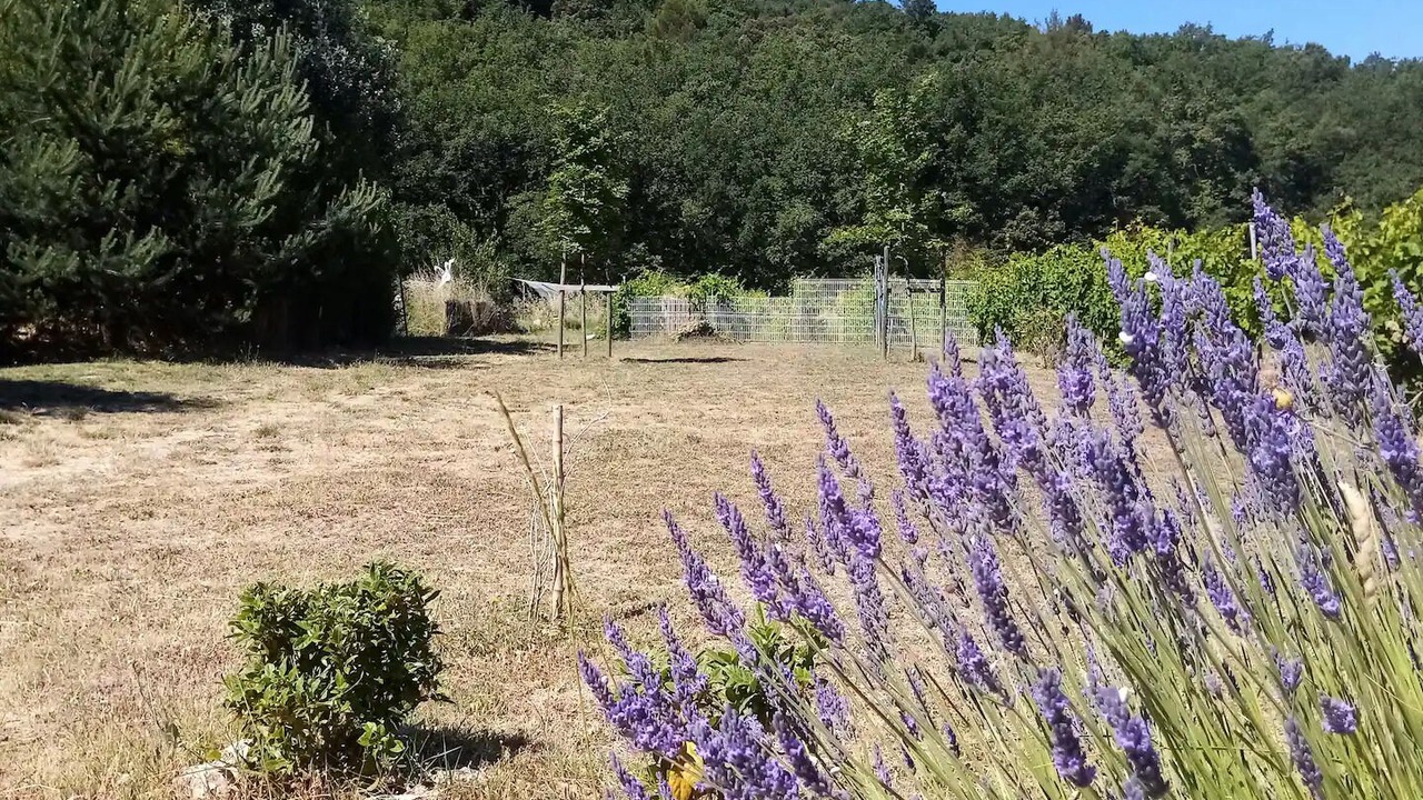 Photo of Outdoor in Menerbes