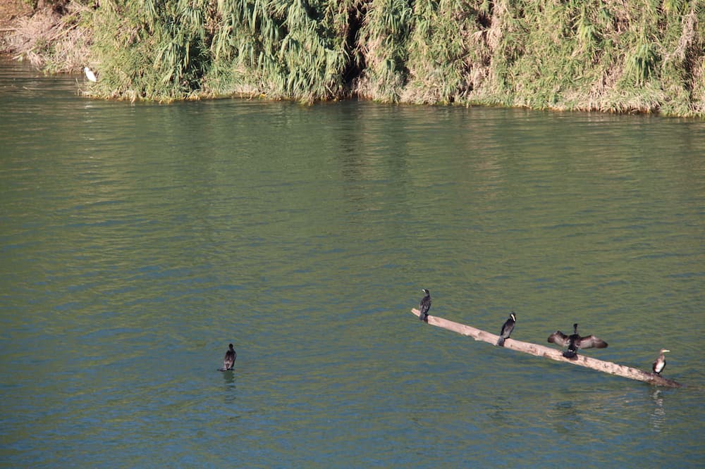 Photo of Others in Remoulins