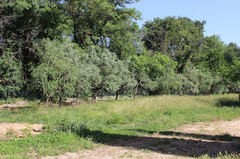 Photo of Outdoor in Brignoles