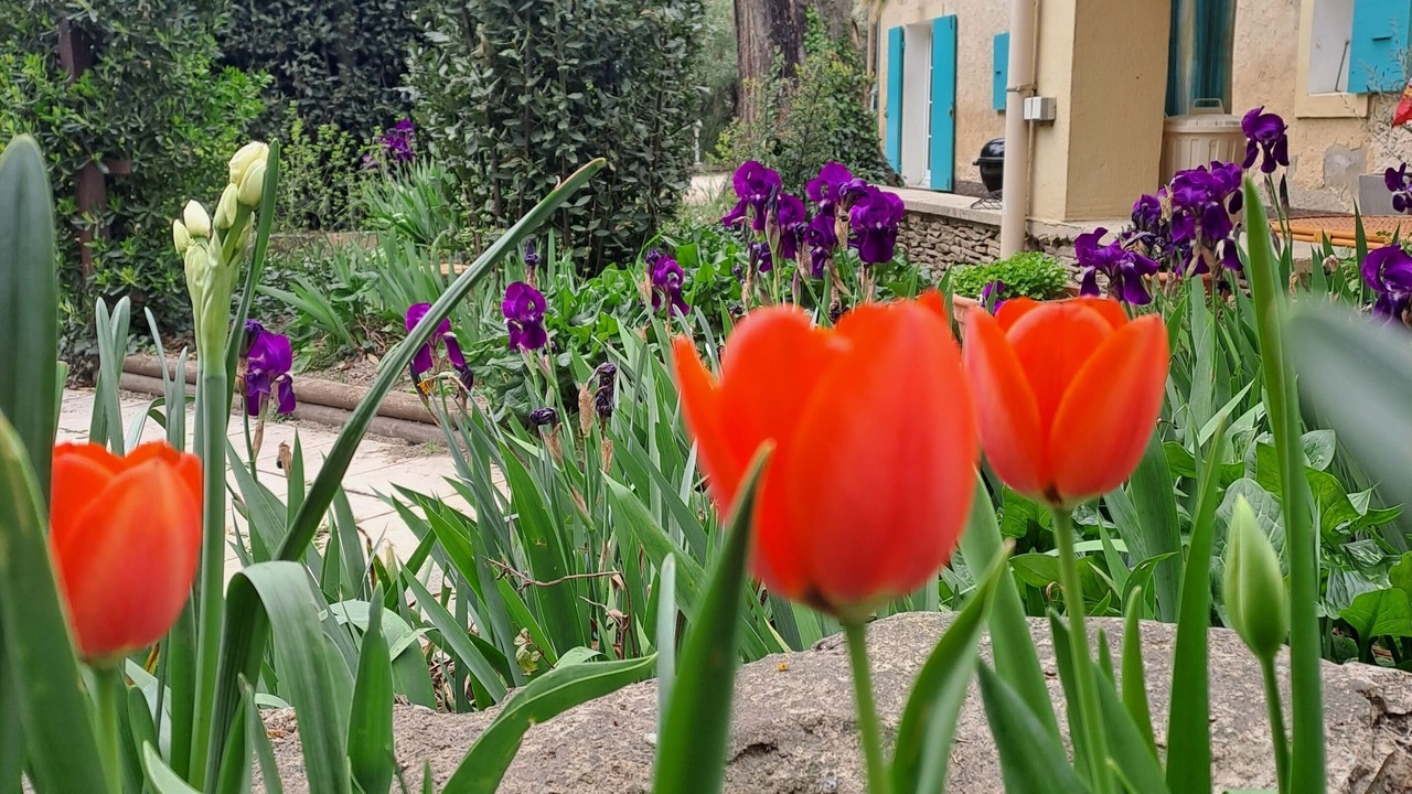 Photo of Outdoor in Caderousse