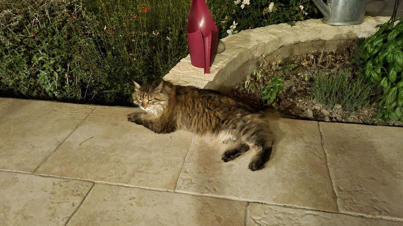 Photo of Outdoor in Cabannes