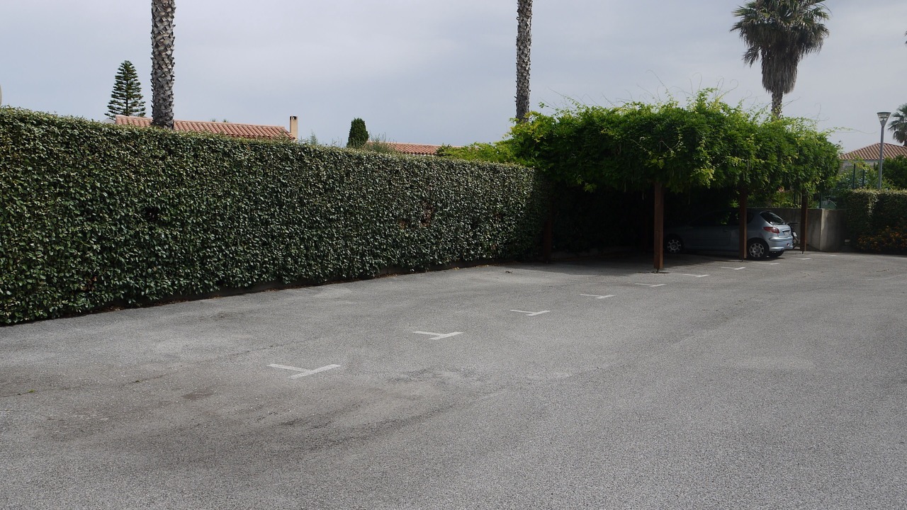 Photo of Outdoor in Miramar