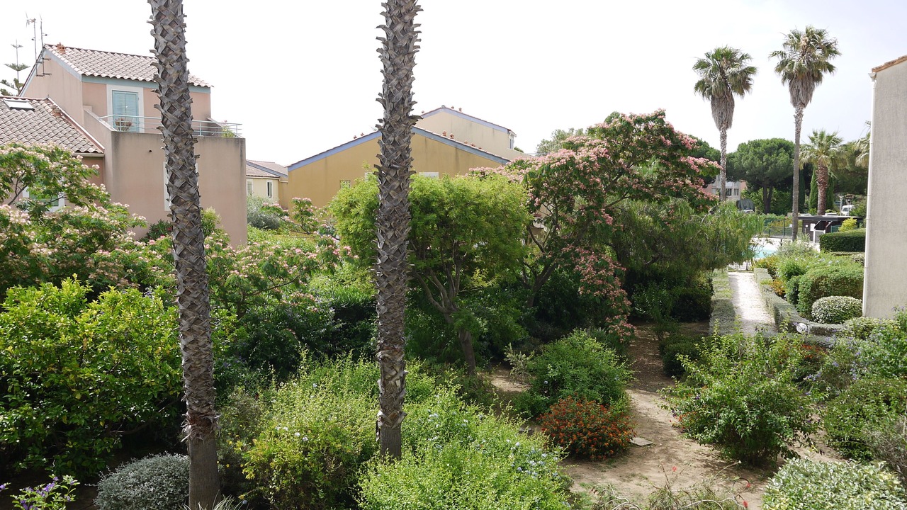 Photo of Outdoor in Miramar