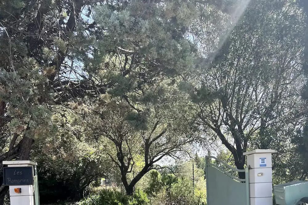 Photo of Outdoor in Saint-Hilaire-d'Ozilhan