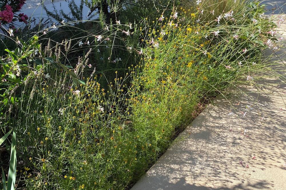Photo of Outdoor in Figanieres