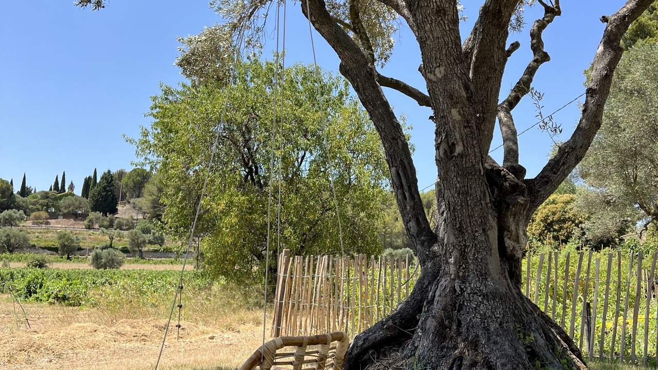 Photo of Outdoor in Le Castellet
