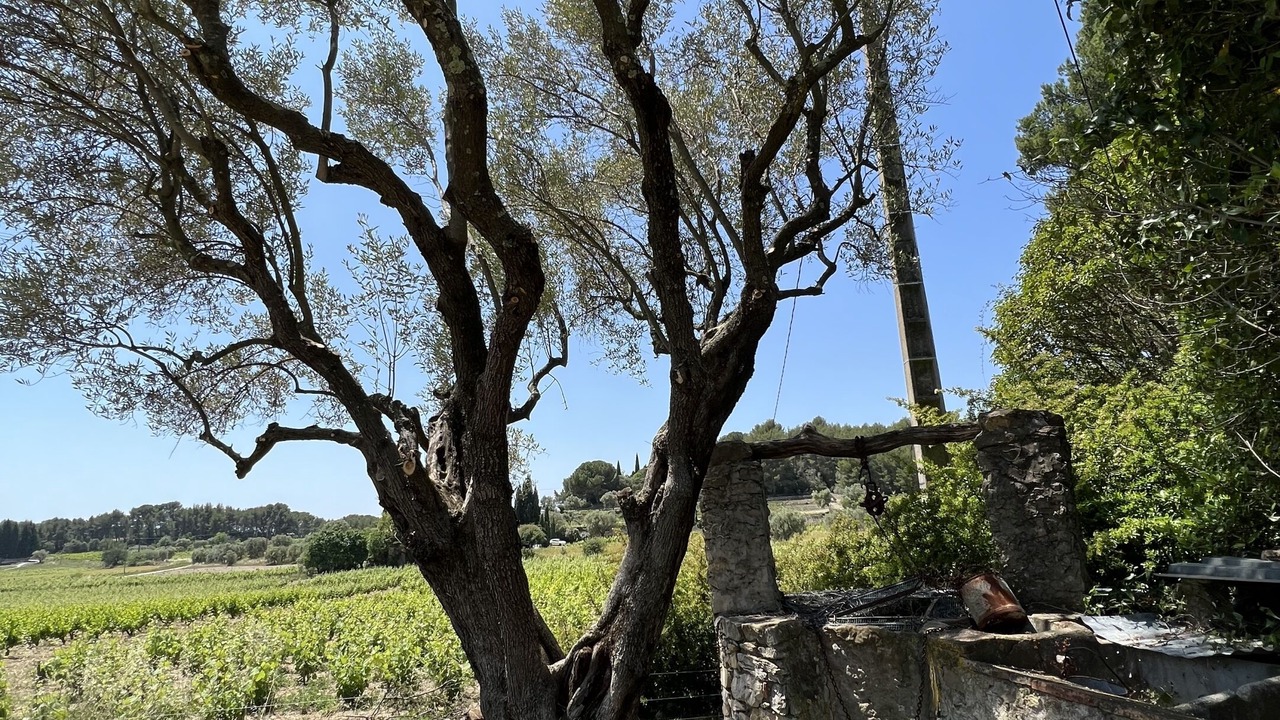 Photo of Outdoor in Le Castellet