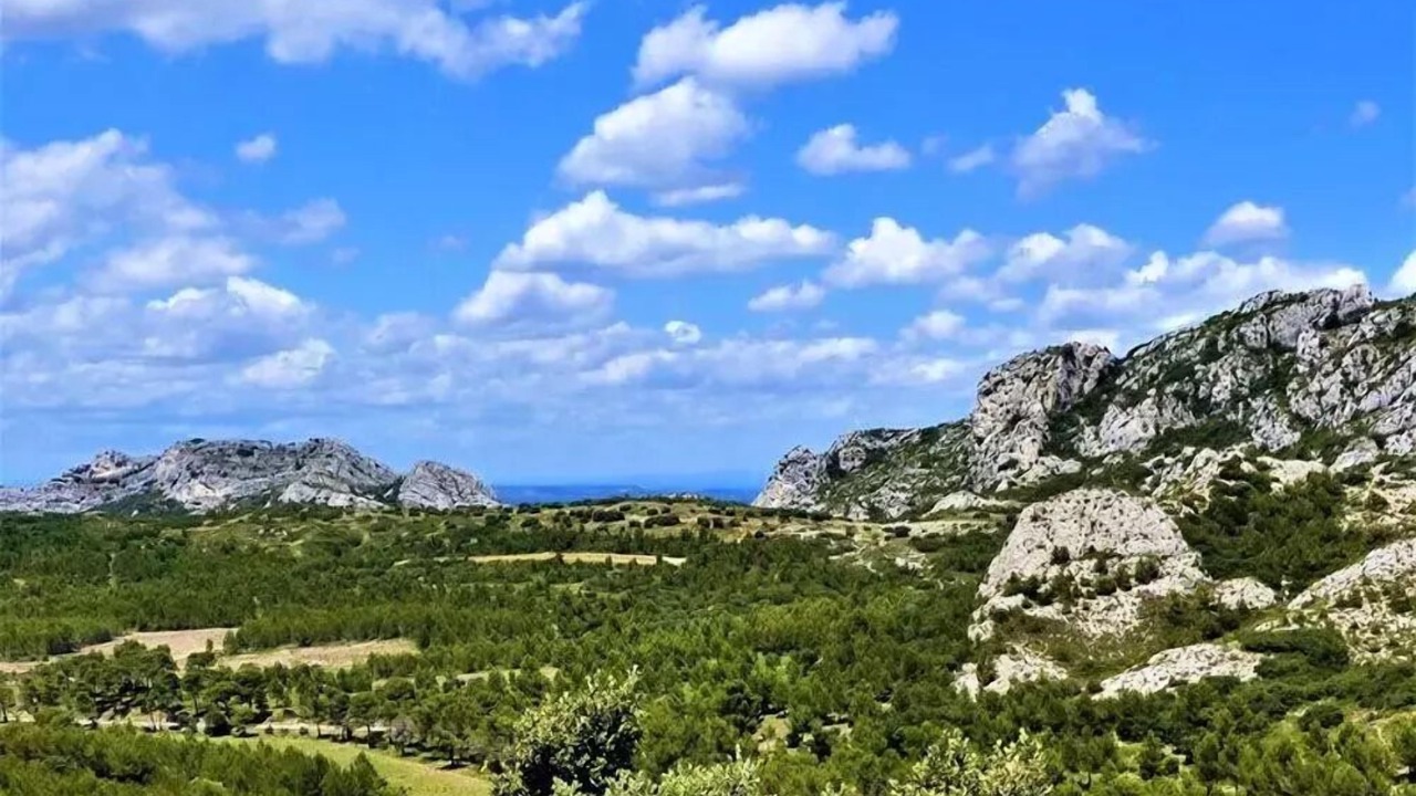 Photo of Outdoor in Paluds de Noves