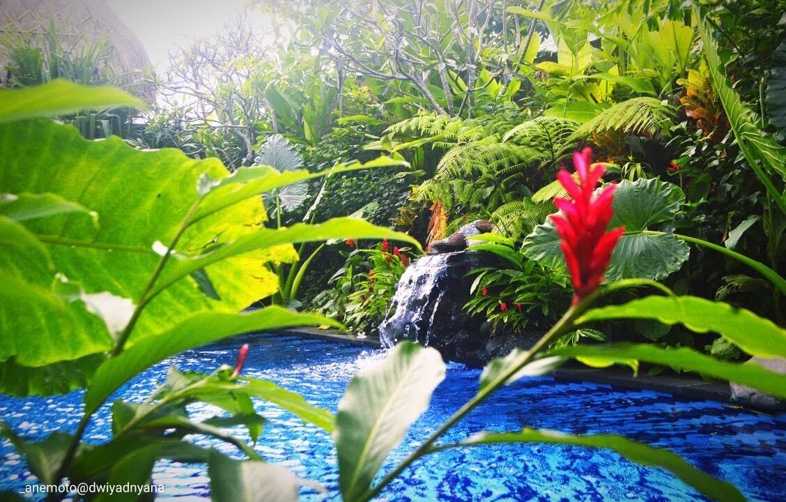 Photo of Outdoor in Mekar Bhuwana