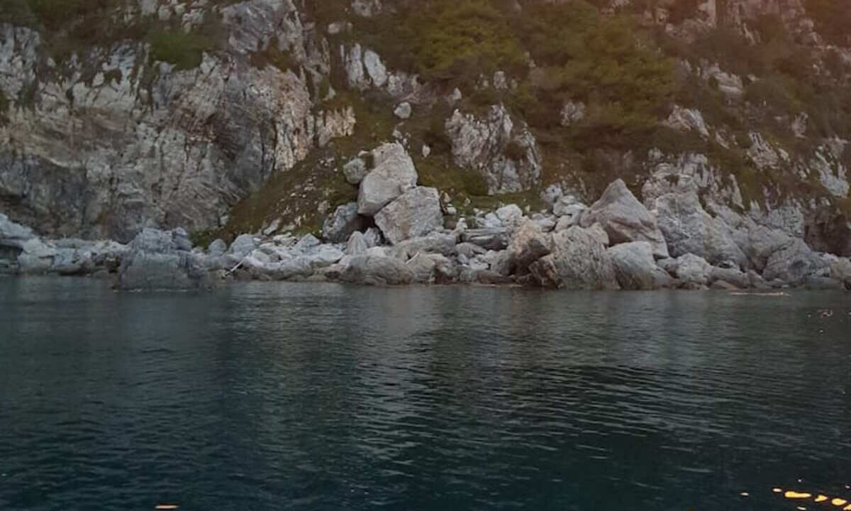 Photo of Others in Ollioules