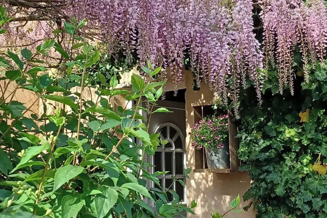 Photo of Outdoor in Peyrolles-en-Provence
