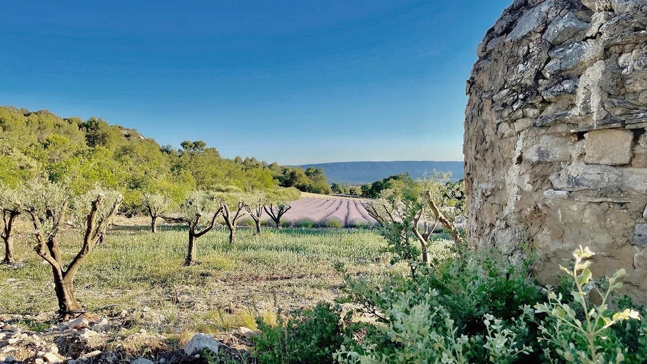 Photo of Outdoor in Lioux