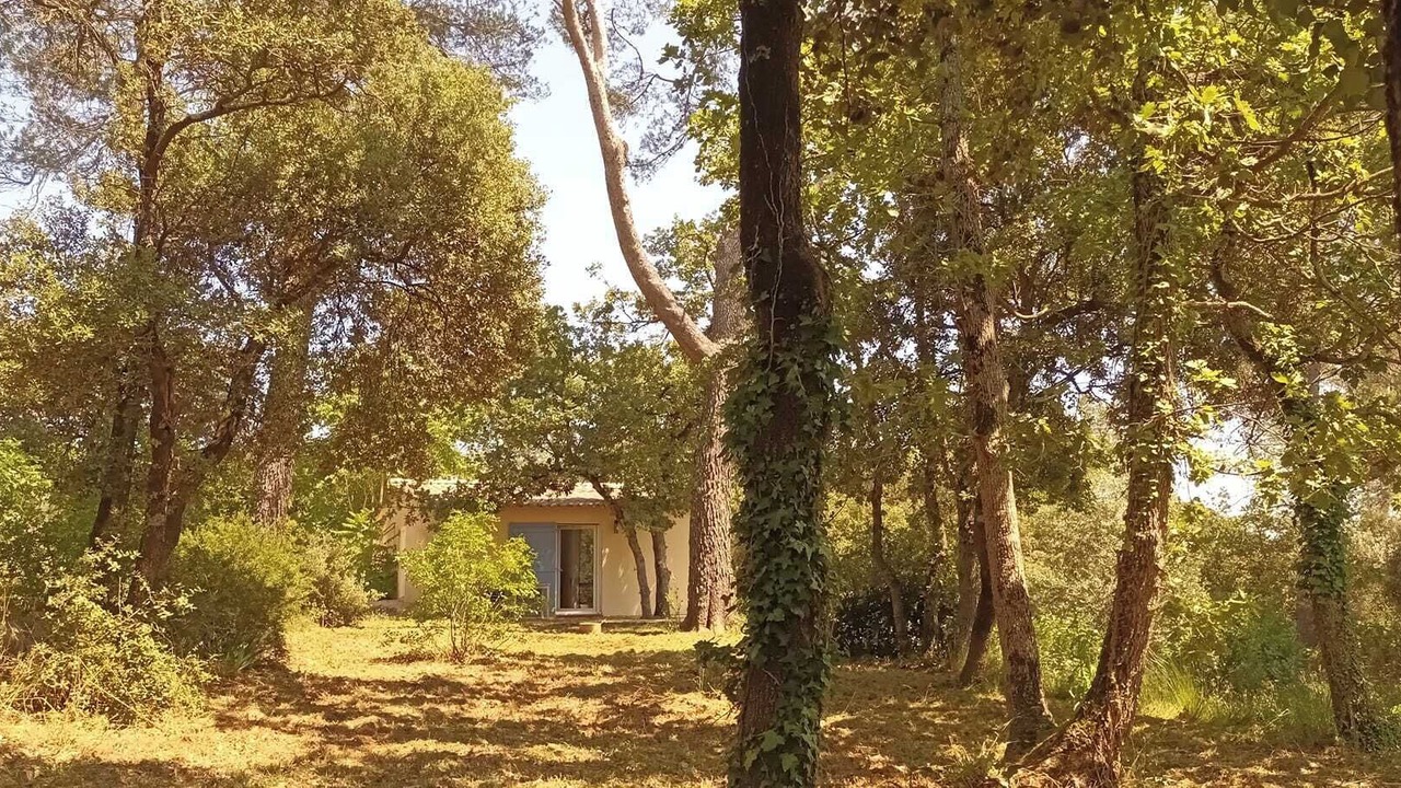 Photo of Outdoor in Besse-sur-Issole