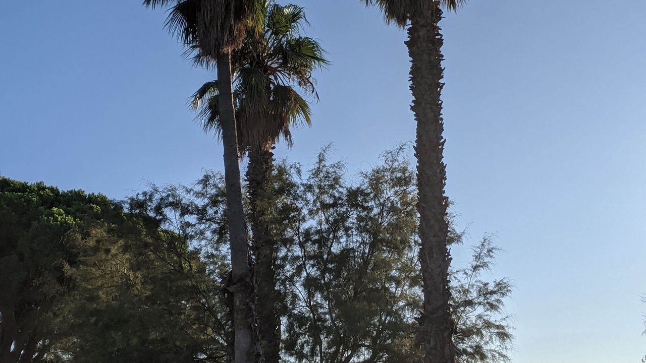 Photo of Others in Miramar