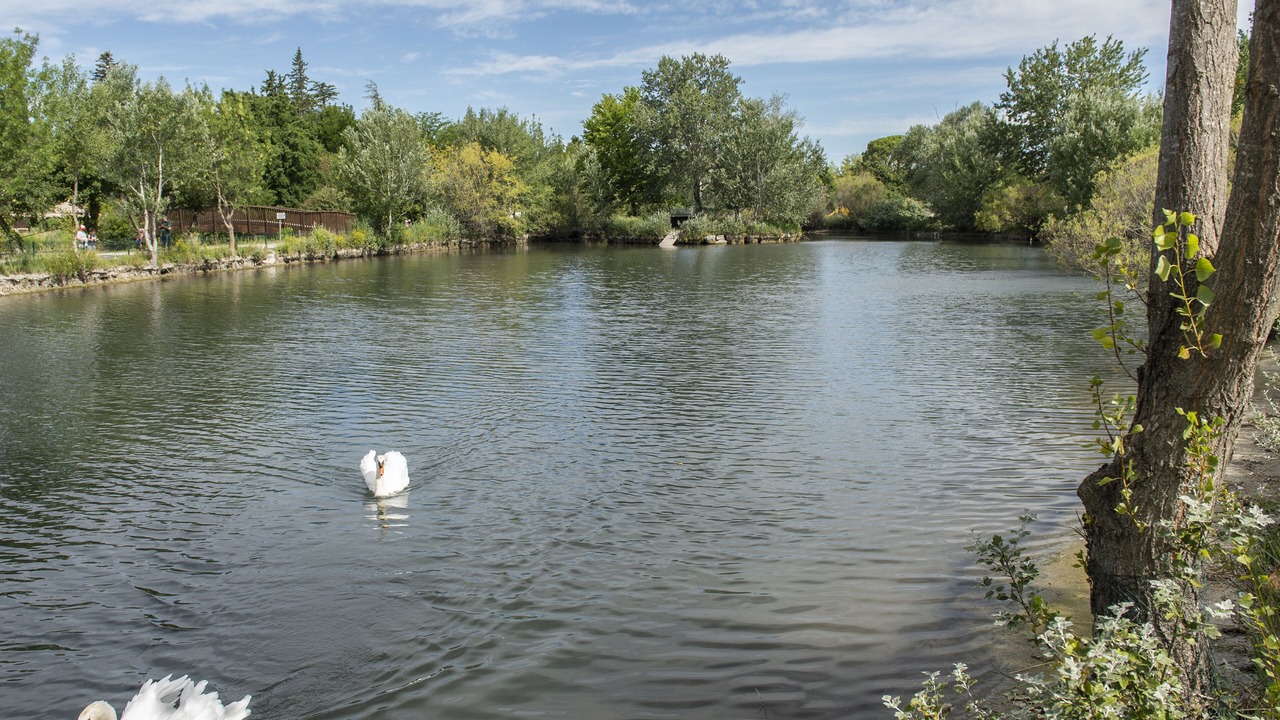 Photo of Outdoor in Saint-Saturnin-les-Avignon