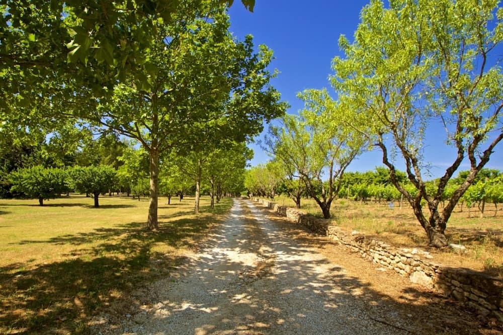 Photo of Outdoor in Joucas