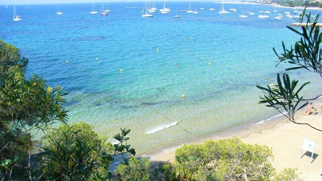 Photo of Others in La Londe-les-Maures
