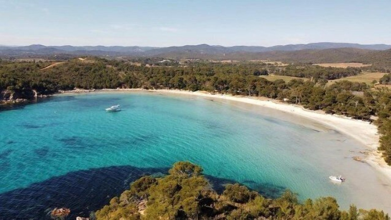 Photo of Others in La Londe-les-Maures