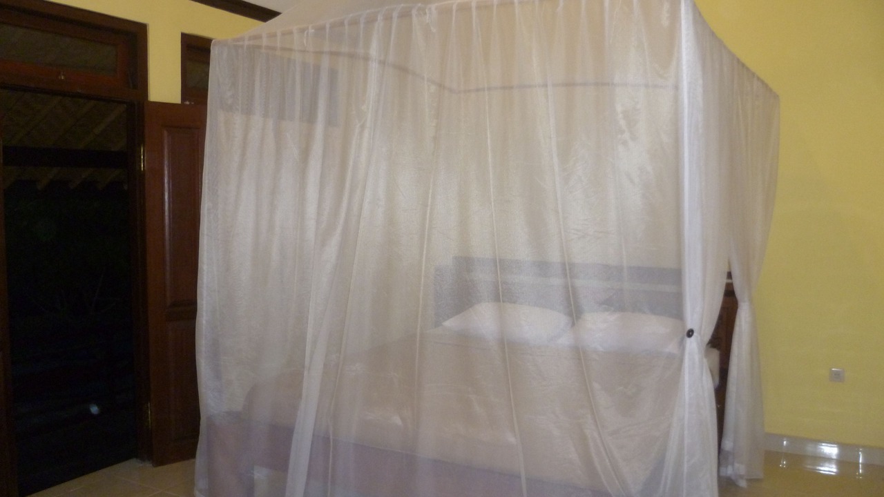 Photo of Bedroom in Jasri