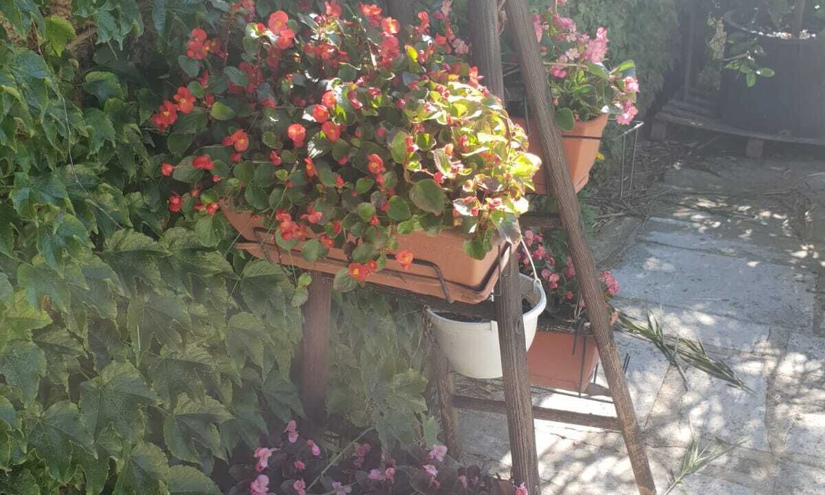 Photo of Outdoor in Sernhac