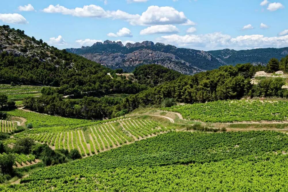 Photo of Outdoor in Mondragon
