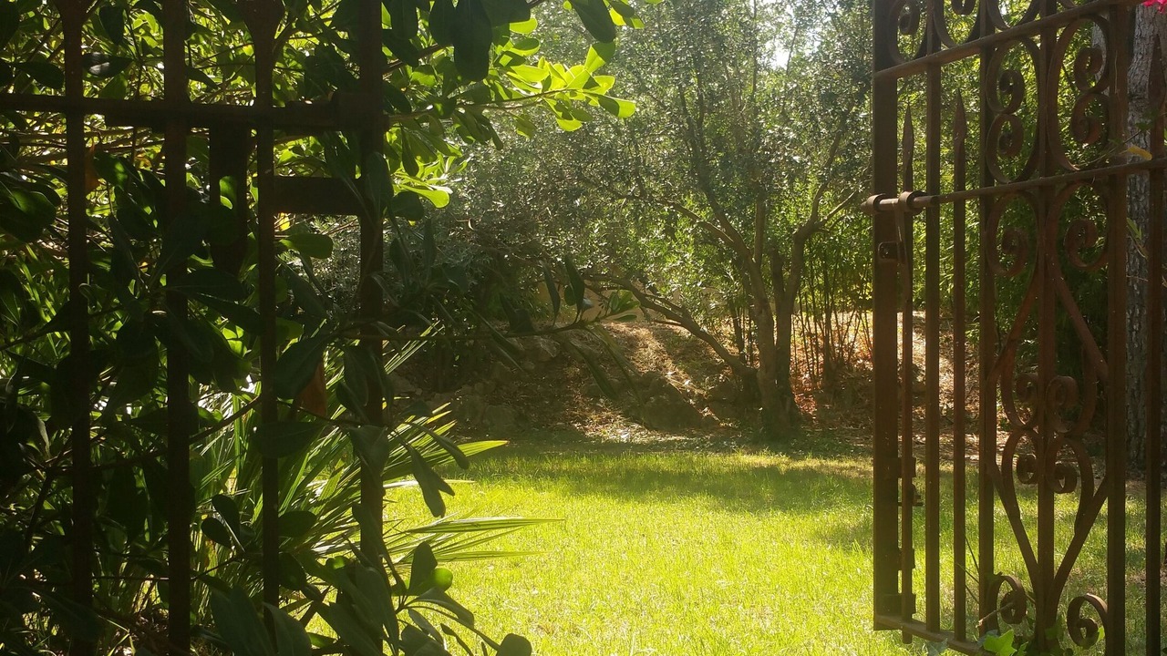 Photo of Outdoor in Caderousse