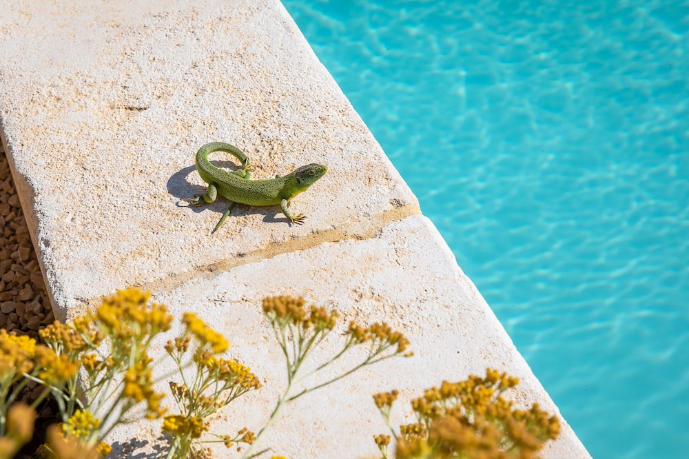 Photo of Outdoor in Malaucene