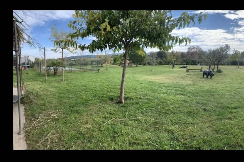Photo of Outdoor in Charleval