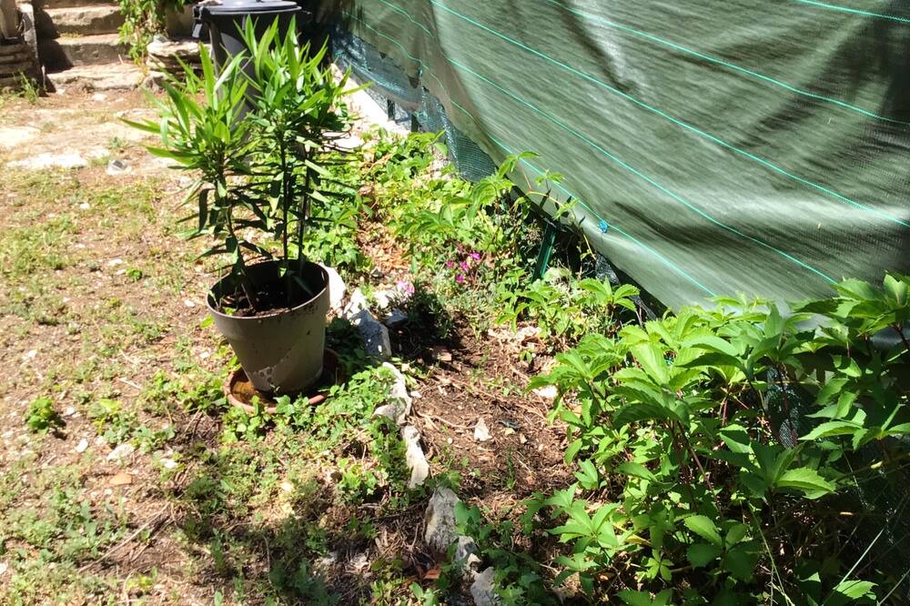 Photo of Outdoor in Vacheres