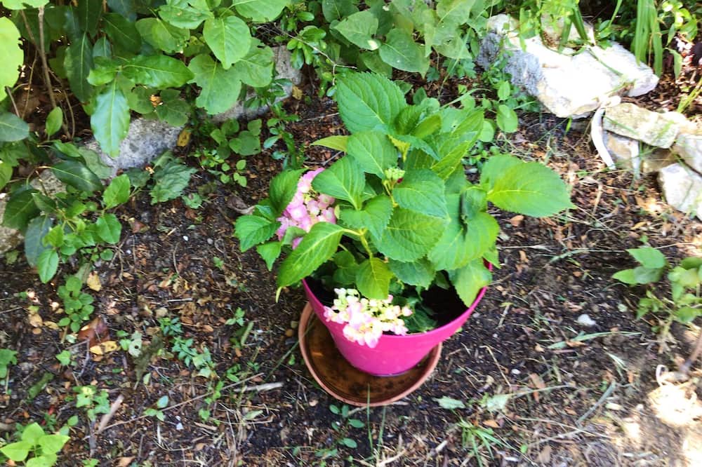 Photo of Outdoor in Vacheres