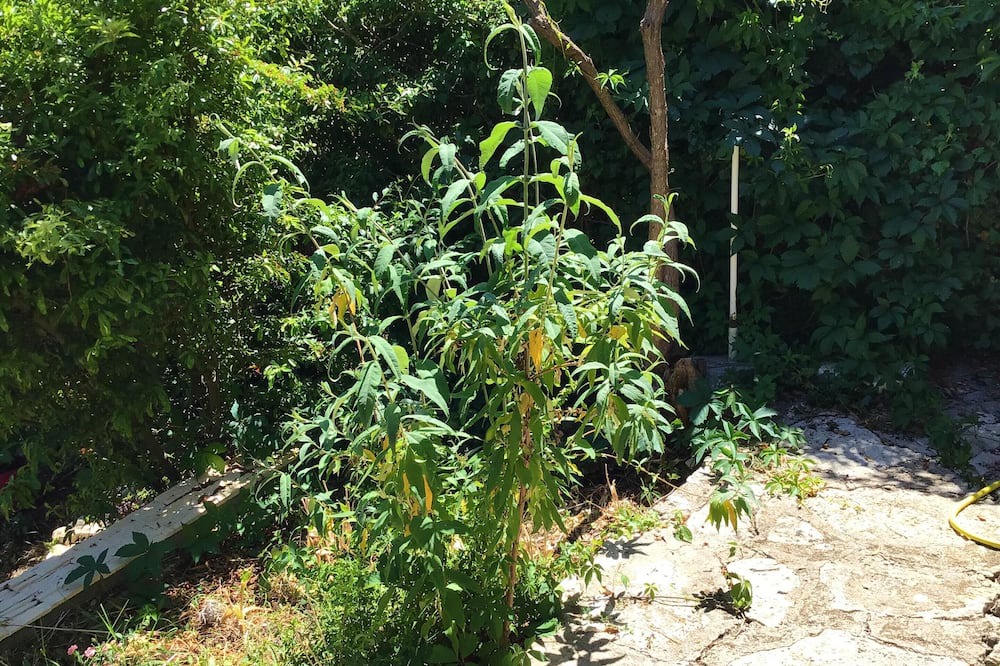 Photo of Outdoor in Vacheres