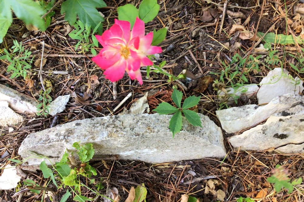 Photo of Outdoor in Vacheres