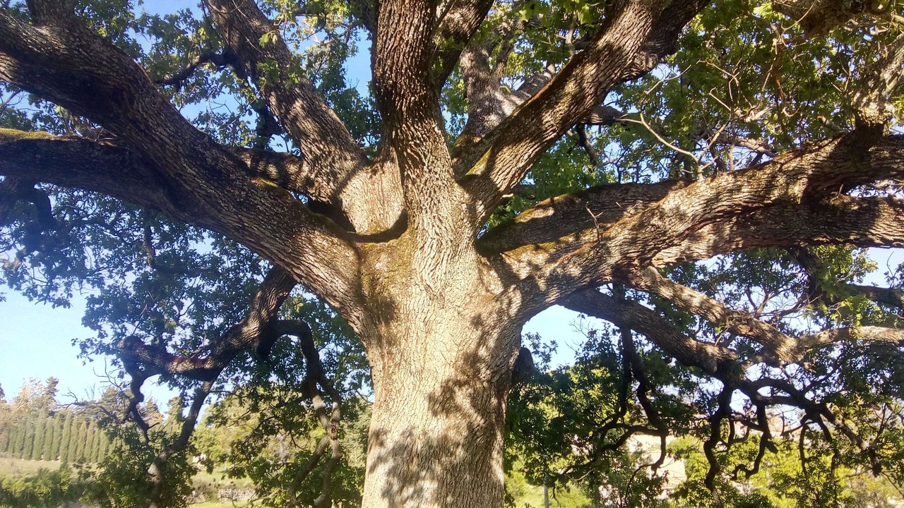 Photo of Outdoor in Murs