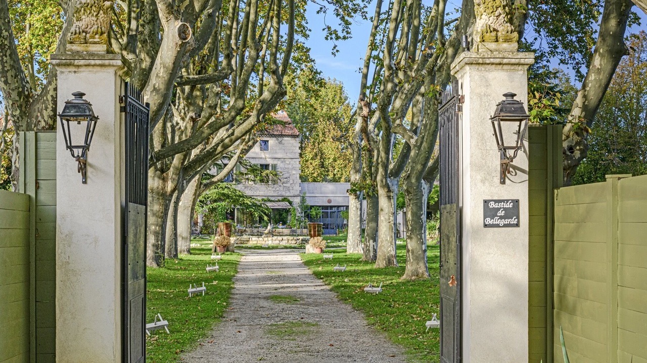 Photo of Others in Avignon