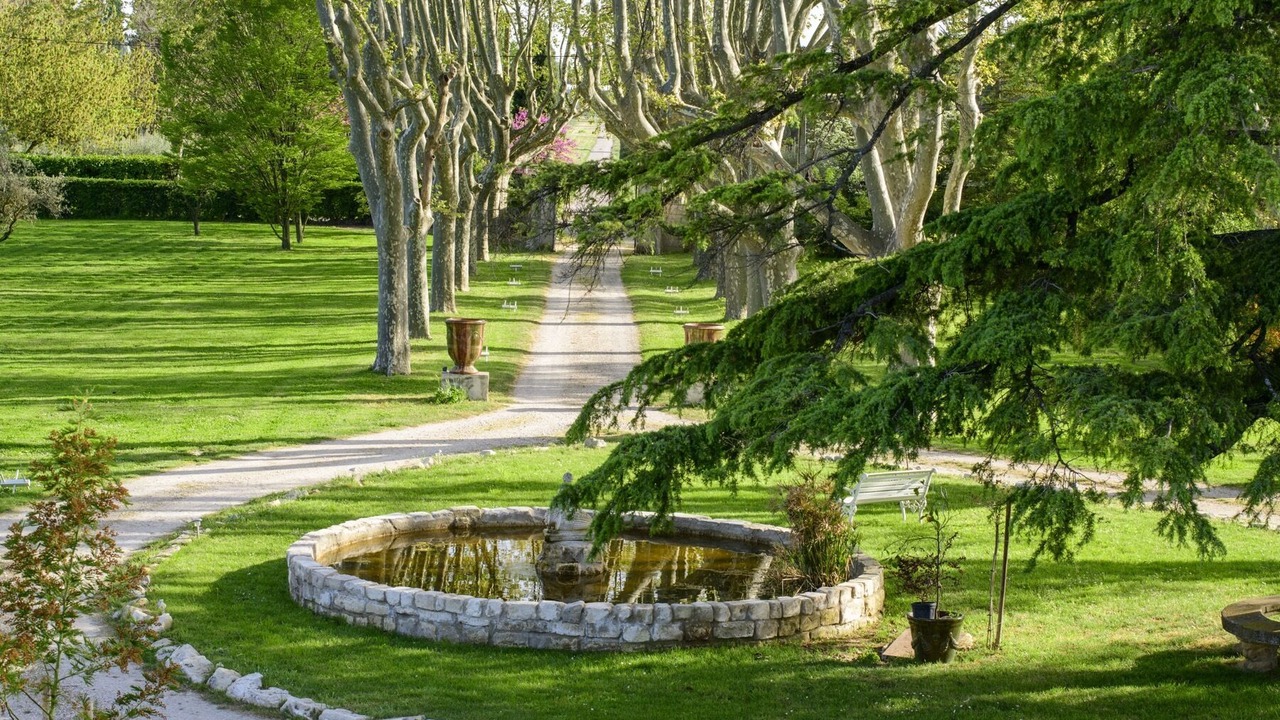Photo of Outdoor in Avignon
