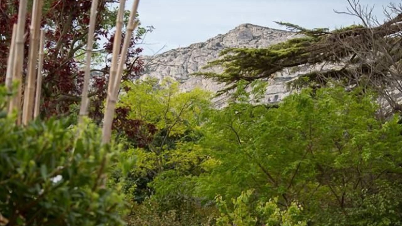 Photo of Bedroom in Les Baumettes