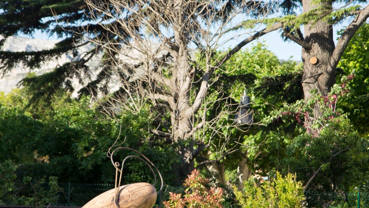Photo of Outdoor in Les Baumettes