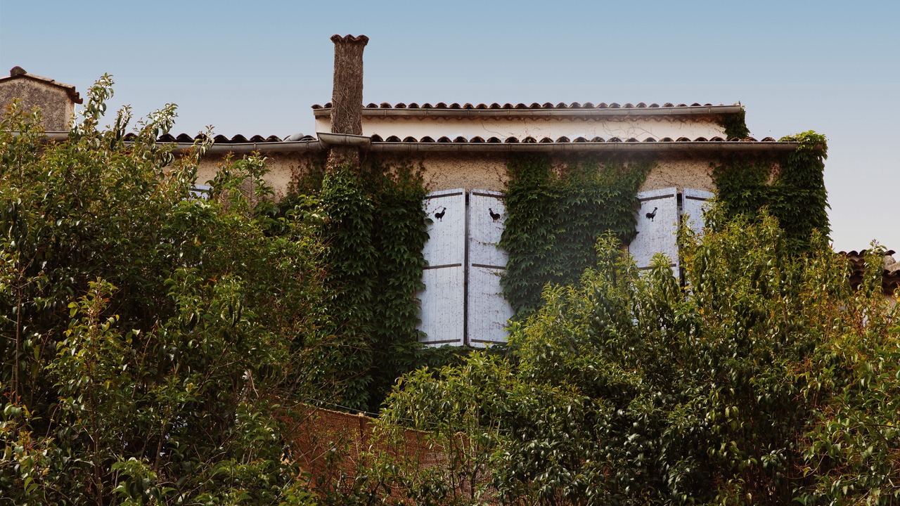 Photo of Outdoor in Cogolin