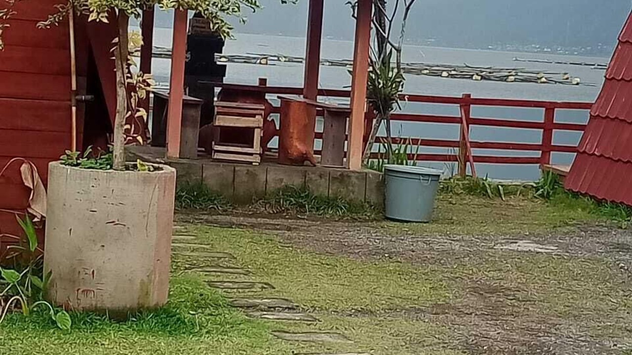 Photo of Outdoor in Kedisan