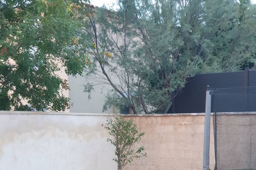 Photo of Outdoor in Morieres-les-Avignon