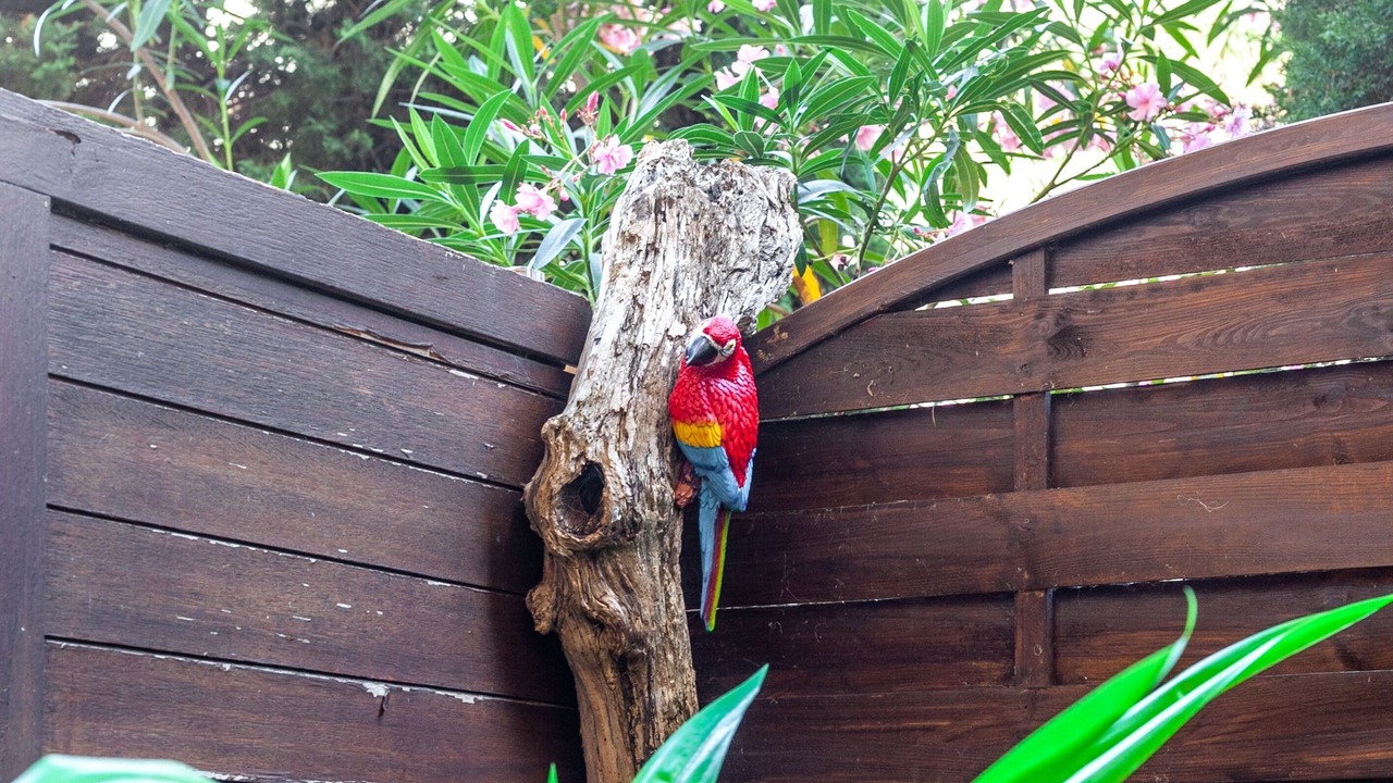 Photo of Outdoor in La Plage