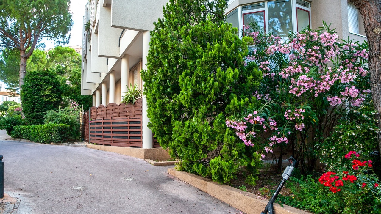 Photo of Outdoor in La Plage